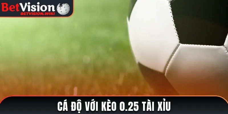 Cá độ với kèo 0.25 tài xỉu
