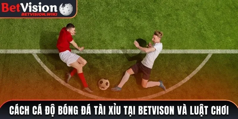 Cách cá độ bóng đá tài xỉu