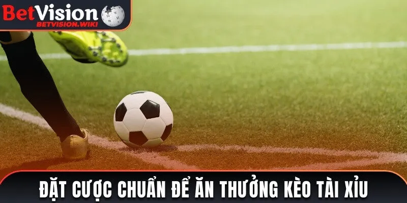 Đặt cược chuẩn để ăn thưởng kèo tài xỉu