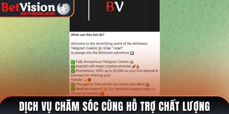 Các dịch vụ chăm sóc cùng hỗ trợ chất lượng
