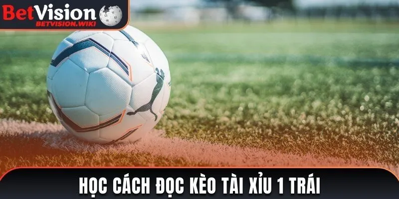 Học ngay cách đọc kèo tài xỉu 1 trái